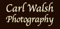 Editorial Photography : Carl D. Walsh Photographer: Portrait Photography : Natural History Photographer