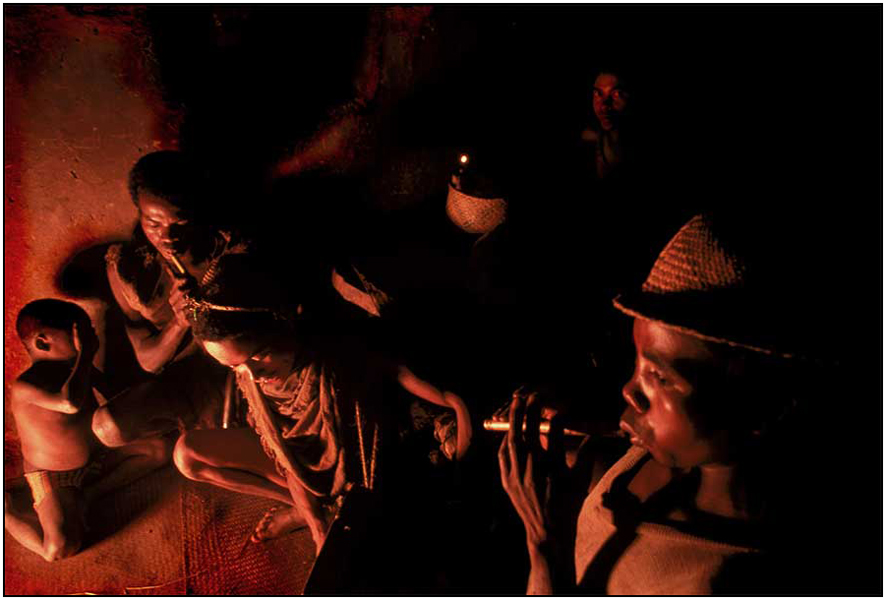  : Madagascar : Editorial Photography : Carl D. Walsh Photographer: Portrait Photography : Natural History Photographer