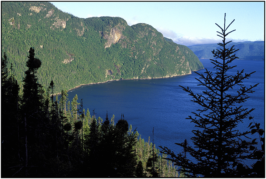  : Saguenay Fjord : Editorial Photography : Carl D. Walsh Photographer: Portrait Photography : Natural History Photographer