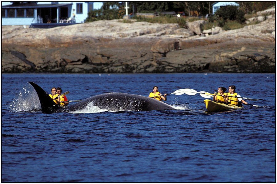  : Saguenay Fjord : Editorial Photography : Carl D. Walsh Photographer: Portrait Photography : Natural History Photographer