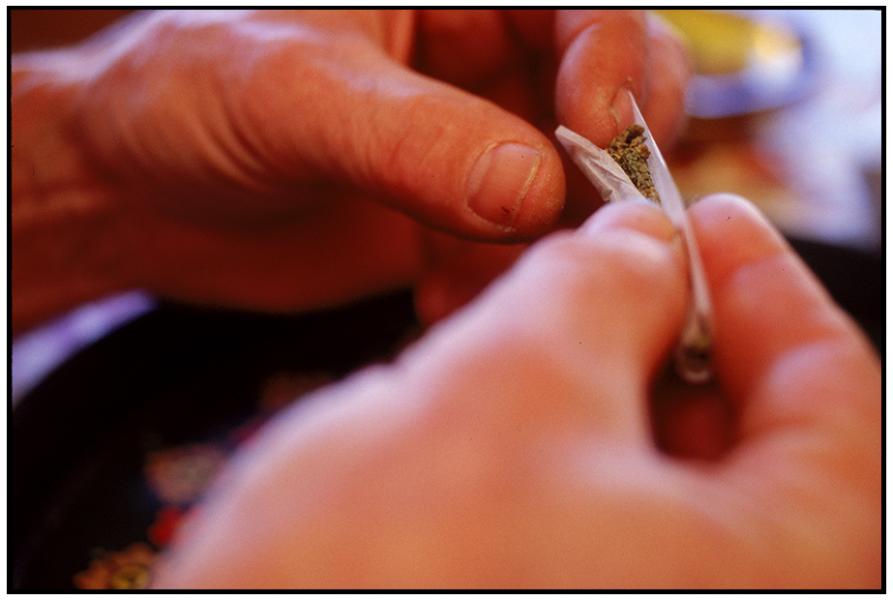  : Medical Marijuana : Editorial Photography : Carl D. Walsh Photographer: Portrait Photography : Natural History Photographer