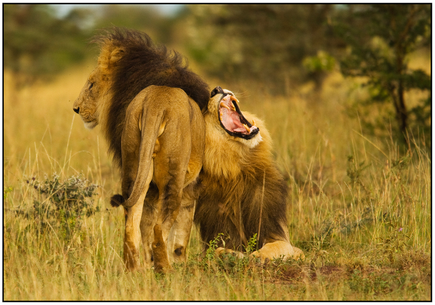  : Natural History : Editorial Photography : Carl D. Walsh Photographer: Portrait Photography : Natural History Photographer