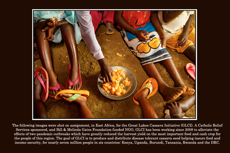  : Great Lakes Cassava Initiative : Editorial Photography : Carl D. Walsh Photographer: Portrait Photography : Natural History Photographer