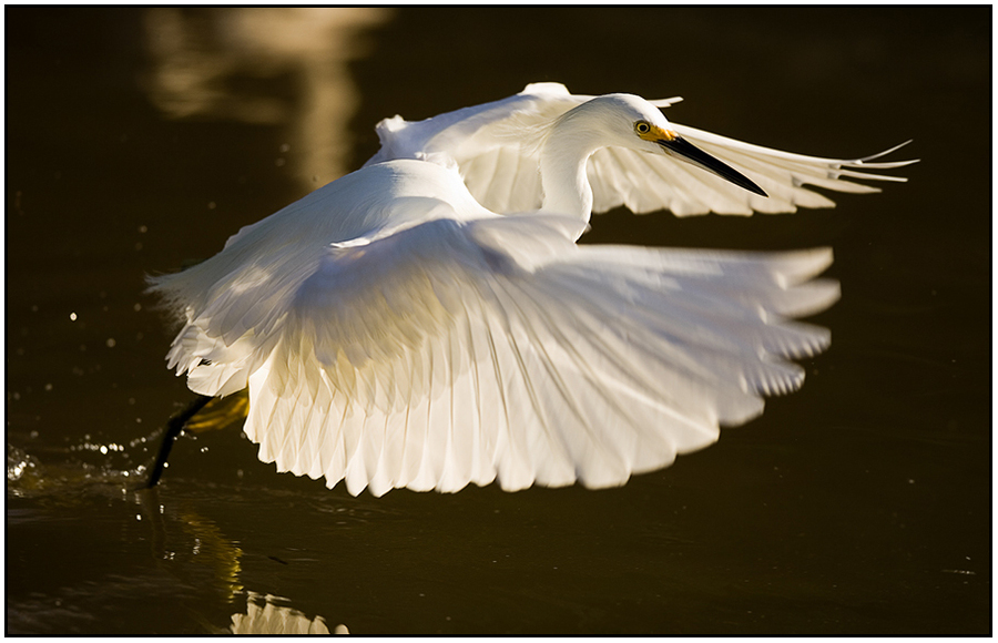  : Natural History : Editorial Photography : Carl D. Walsh Photographer: Portrait Photography : Natural History Photographer