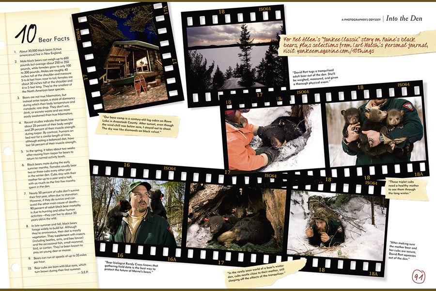 Yankee Magazine : Published : Editorial Photography : Carl D. Walsh Photographer: Portrait Photography : Natural History Photographer