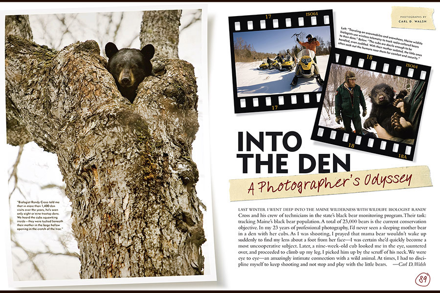 Yankee Magazine : Published : Editorial Photography : Carl D. Walsh Photographer: Portrait Photography : Natural History Photographer