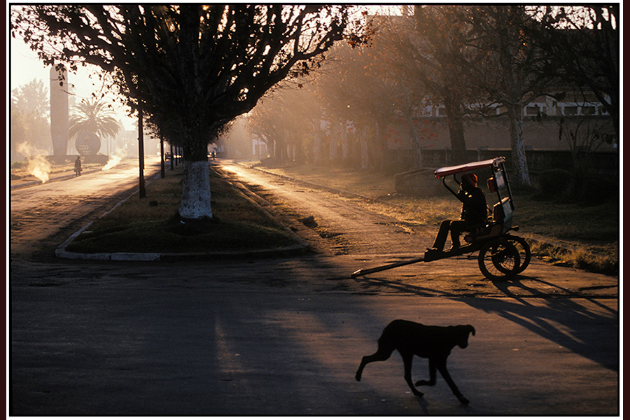 : Madagascar : Editorial Photography : Carl D. Walsh Photographer: Portrait Photography : Natural History Photographer