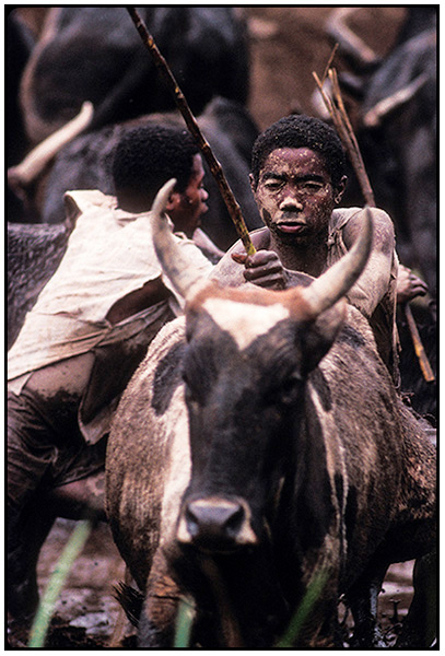  : Madagascar : Editorial Photography : Carl D. Walsh Photographer: Portrait Photography : Natural History Photographer