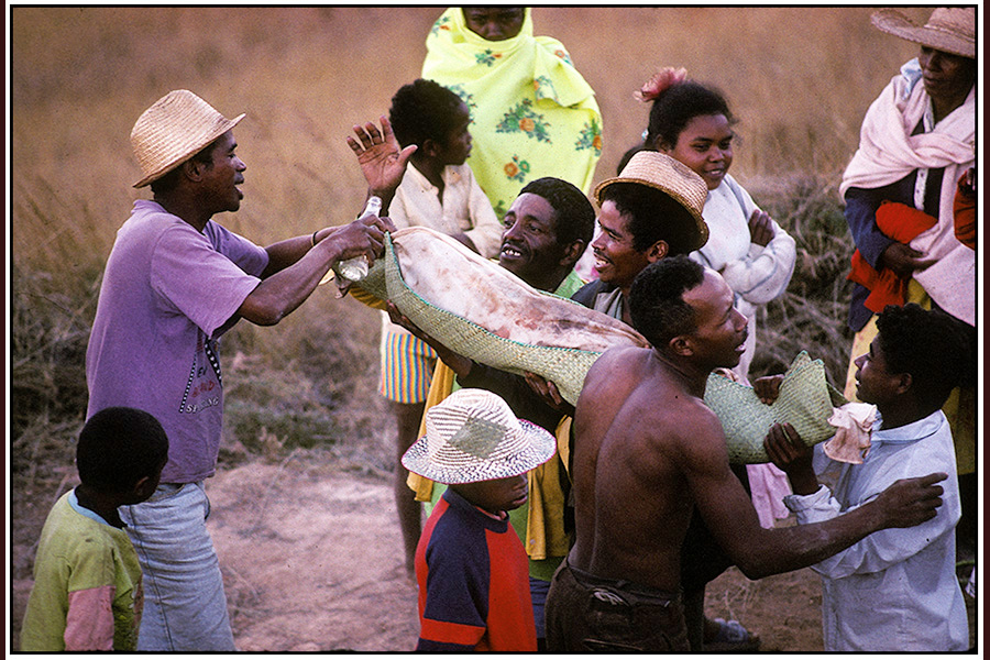 : Madagascar : Editorial Photography : Carl D. Walsh Photographer: Portrait Photography : Natural History Photographer