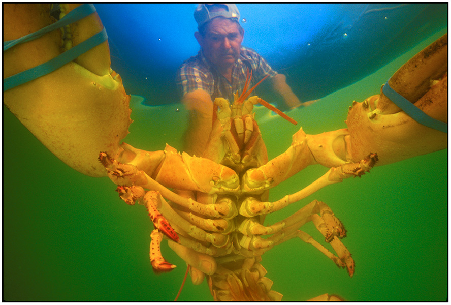  : Single Images : Editorial Photography : Carl D. Walsh Photographer: Portrait Photography : Natural History Photographer