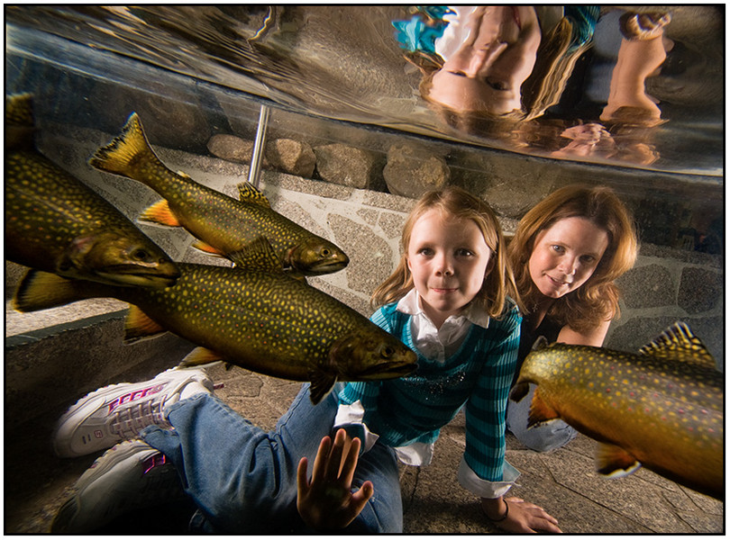  : Single Images : Editorial Photography : Carl D. Walsh Photographer: Portrait Photography : Natural History Photographer