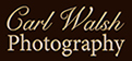 Editorial Photography : Carl D. Walsh Photographer: Portrait Photography : Natural History Photographer: One of the most sought after PHOTOJOURNALISTS in New England, Carl Walsh uses his journalistic style honed during his 20 year working with the nations top publications