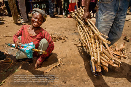 "Dispatches from the Field" pages 30 and 31. Photography, text and design for Great Lakes Cassava Initiative.