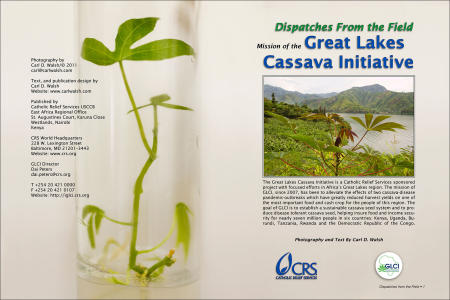 "Dispatches from the Field" Opening Spread. Photography, text and design for Great Lakes Cassava Initiative.