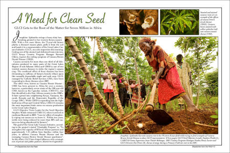 "Dispatches from the Field" pages 2 and 3. Photography, text and design for Great Lakes Cassava Initiative.