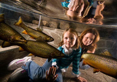 A daughter and mother look at brook trout in the large fish tank at LL Bean in Freeport. Shot for Down East magazine.
