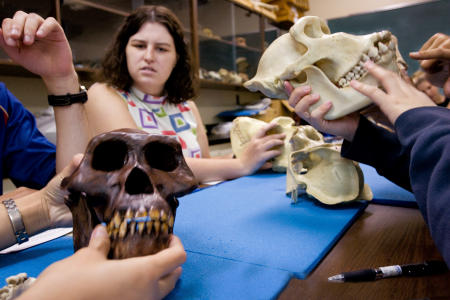 Students examine various skulls during a summer session anthropology class at McGill University in Montreal. (Shot for US News & World Report Best Colleges Guide)