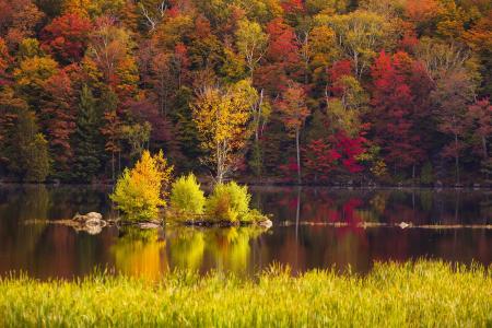 Fall foliage splendor, Kent Pond, Killington, Vermont