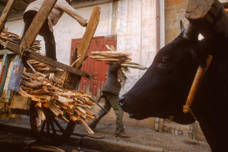 Wood, the main source for heat and cooking, is unloaded in Antsirabe, Madagascar.
