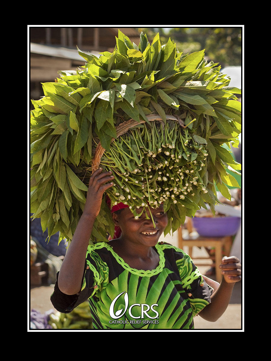 "Dispatches from the Field" back cover. Photography, text and design for Great Lakes Cassava Initiative.