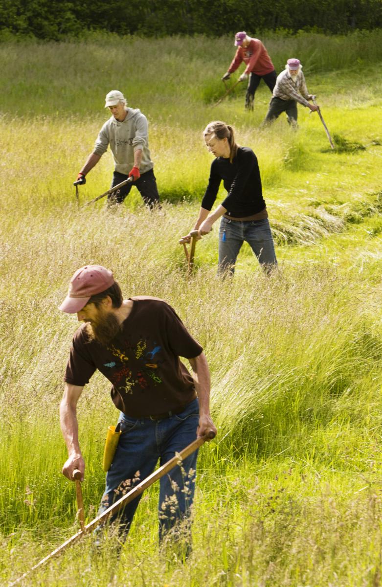 People use scythe to clear the fields during Farm & Homestead Day at the Common Ground Fairgrounds in Unity, Maine. Shot for The Portland Press Herald.