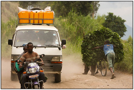 Congolese cassava farmers transport leaves, on a bicycle more than 30 miles to a Goma market.