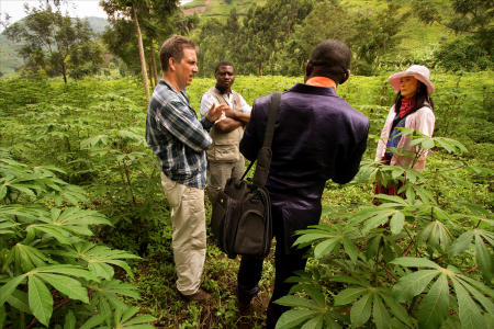 "Dispatches from the Field" pages 4 and 5. Photography, text and design for Great Lakes Cassava Initiative.