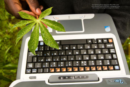 "Dispatches from the Field" pages 18 and 19. Photography, text and design for Great Lakes Cassava Initiative.