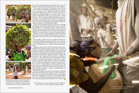 "Dispatches from the Field" pages 10 and 11. Photography, text and design for Great Lakes Cassava Initiative.