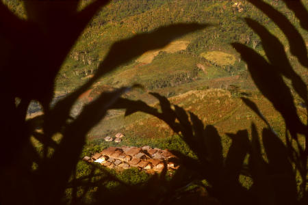 Thatched roofed bamboo huts in the village Namahoaka, are secluded in Madagascar's Southeastern Rainforest.