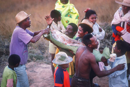 Betsileo villagers share sugar cane rum with the remains of an ancestor during a Famadihana ritual, which includes exhumation and rewrapping of remains in fresh shrouds. Some Malagasy worship the ancestors, believing all will be well in their lives if they honor and remember them.