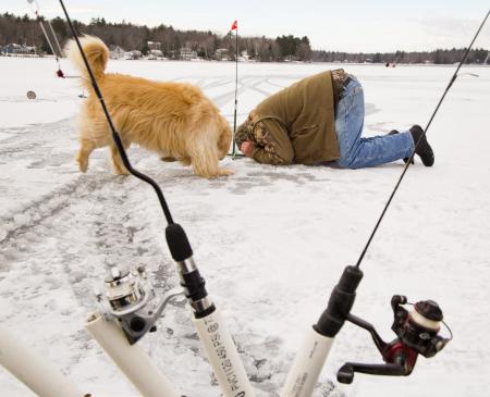 A curious golden retriever comes over to fisherman J Desrochers of Saco who is trying to do a little sight ice fishing at Kennebunk Pond in Lyman, Maine.  Shot for The Portland Press Herald.
